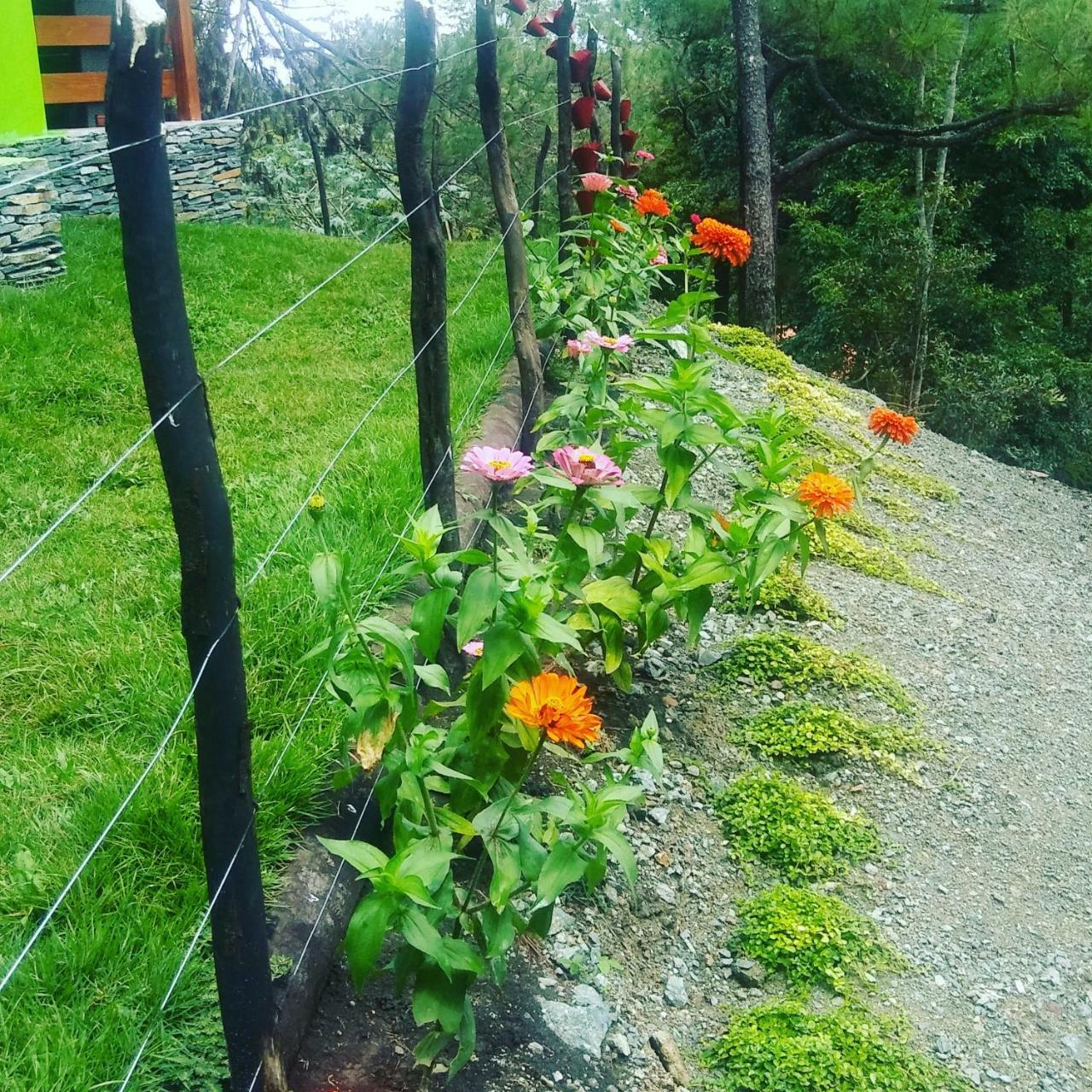 Mi Hogar Jarabacoa Appartement Buitenkant foto